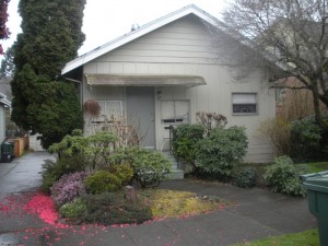 Foundation Crack Investigation