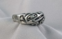 Photo of Raven and Wolf Cast Sterling Ring