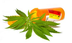 medicinal cannabis